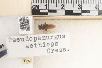 Media type: image;   Entomology 775791 Aspect: Labels